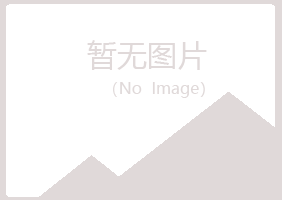 安阳殷都紫山能源有限公司